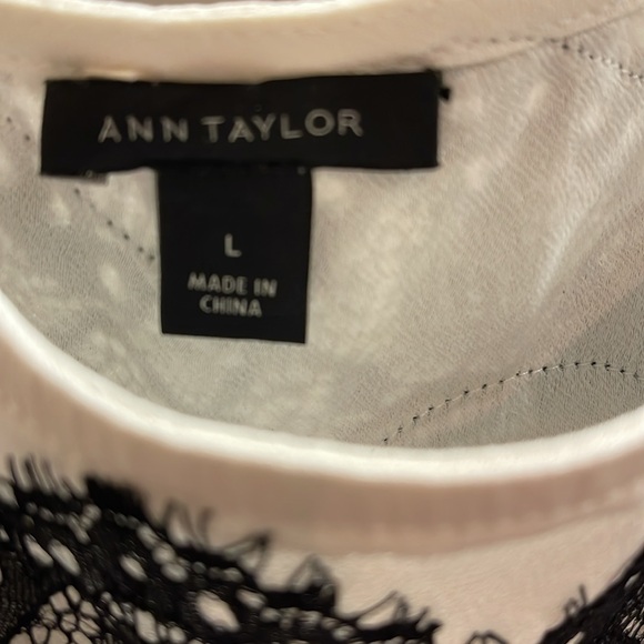 Ann Taylor Winter White Shell Blouse Camisole Black Lace Accent Large - Picture 5 of 6